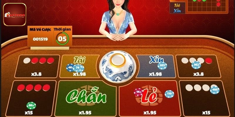 Khái niệm sơ lược về xóc đĩa KM1888B