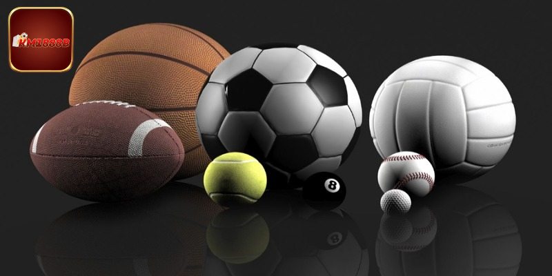 Khám phá các sảnh cược thể thao ăn khách