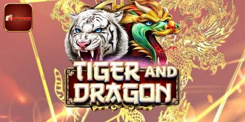 Thông tin cần nắm rõ về rồng hổ KM1888B